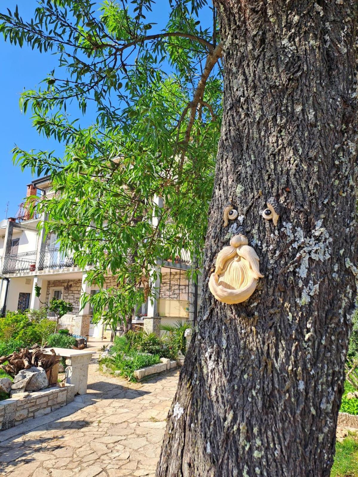 Apartment Marijana Murine Zewnętrze zdjęcie